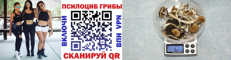 Псилоцибиновые грибы ЛСД  Купить где  Куйбышев 